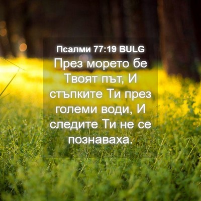Picture 04 - Псалми 77:19 BULG - През морето бе Твоят път, И - Bible Verse Picture
