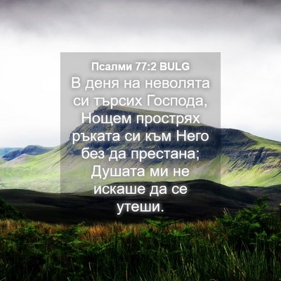 Picture 04 - Псалми 77:2 BULG - В деня на неволята си - Bible Verse Picture