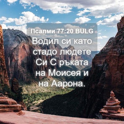 Picture 04 - Псалми 77:20 BULG - Водил си като стадо людете - Bible Verse Picture