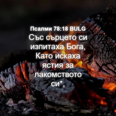 Picture 04 - Псалми 78:18 BULG - Със сърцето си изпитаха - Bible Verse Picture