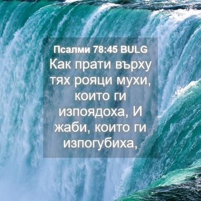 Picture 04 - Псалми 78:45 BULG - Как прати върху тях рояци - Bible Verse Picture
