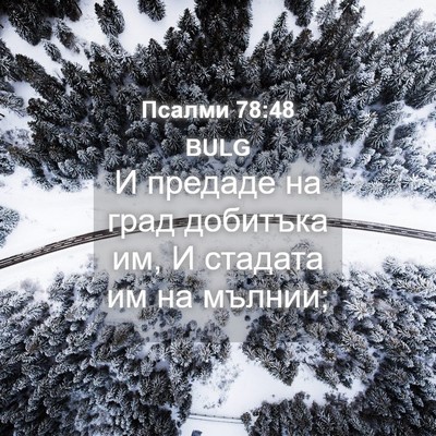 Picture 04 - Псалми 78:48 BULG - И предаде на град добитъка - Bible Verse Picture
