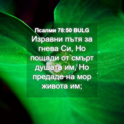 Picture 04 - Псалми 78:50 BULG - Изравни пътя за гнева Си, - Bible Verse Picture