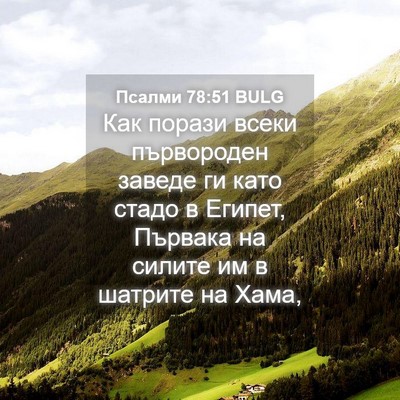 Picture 04 - Псалми 78:51 BULG - Как порази всеки - Bible Verse Picture