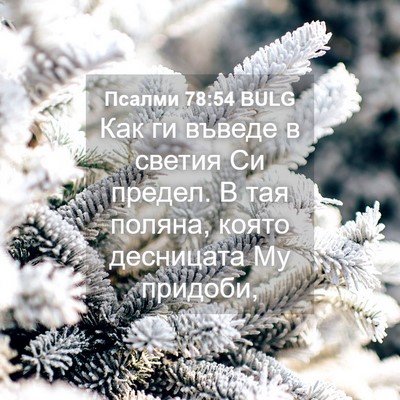 Picture 04 - Псалми 78:54 BULG - Как ги въведе в светия Си - Bible Verse Picture