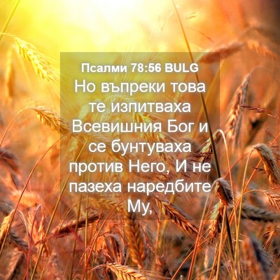 Picture 04 - Псалми 78:56 BULG - Но въпреки това те - Bible Verse Picture