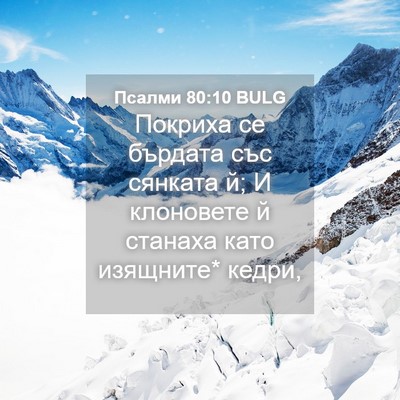 Picture 04 - Псалми 80:10 BULG - Покриха се бърдата със - Bible Verse Picture