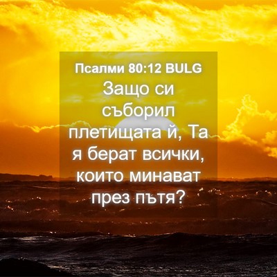 Picture 04 - Псалми 80:12 BULG - Защо си съборил плетищата - Bible Verse Picture