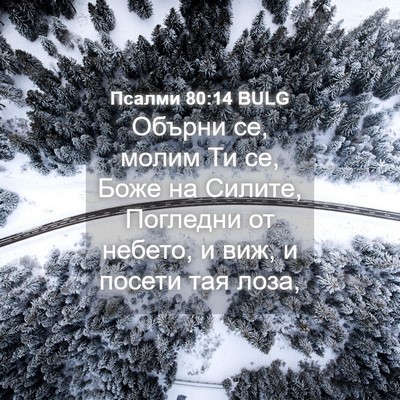 Picture 04 - Псалми 80:14 BULG - Обърни се, молим Ти се, Боже - Bible Verse Picture