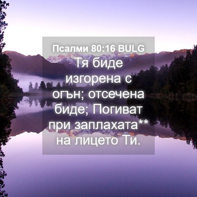 Picture 04 - Псалми 80:16 BULG - Тя биде изгорена с огън; - Bible Verse Picture