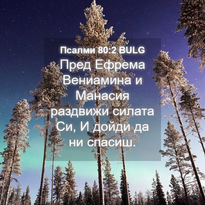 Picture 04 - Псалми 80:2 BULG - Пред Ефрема Вениамина и - Bible Verse Picture