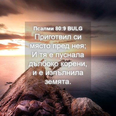 Picture 04 - Псалми 80:9 BULG - Приготвил си място пред - Bible Verse Picture