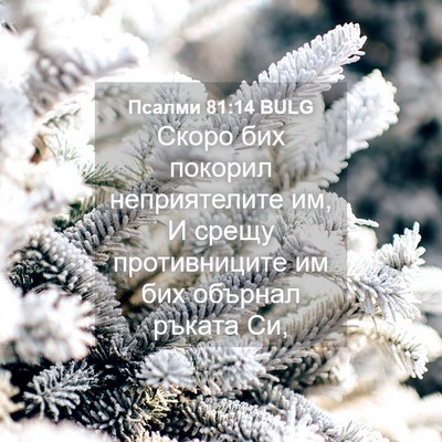 Picture 04 - Псалми 81:14 BULG - Скоро бих покорил - Bible Verse Picture