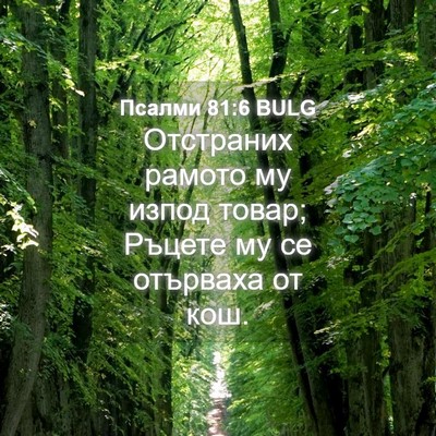 Picture 04 - Псалми 81:6 BULG - Отстраних рамото му изпод - Bible Verse Picture