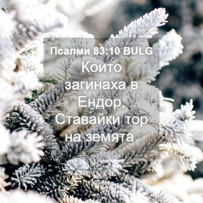 Picture 04 - Псалми 83:10 BULG - Които загинаха в Ендор, - Bible Verse Picture