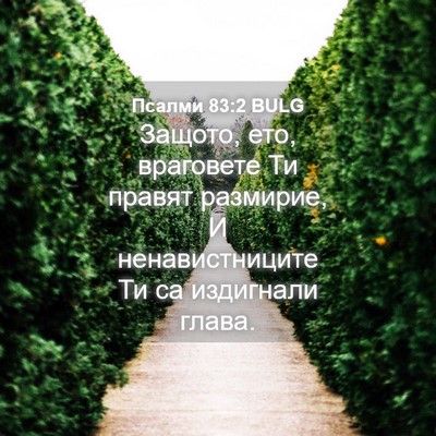 Picture 04 - Псалми 83:2 BULG - Защото, ето, враговете Ти - Bible Verse Picture