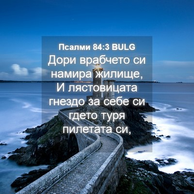 Picture 04 - Псалми 84:3 BULG - Дори врабчето си намира - Bible Verse Picture