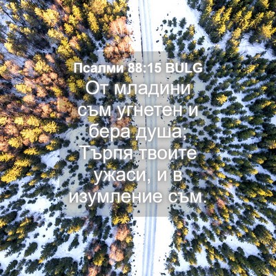 Picture 04 - Псалми 88:15 BULG - От младини съм угнетен и - Bible Verse Picture