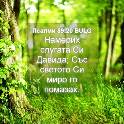 Picture 04 - Псалми 89:20 BULG - Намерих слугата Си Давида; - Bible Verse Picture
