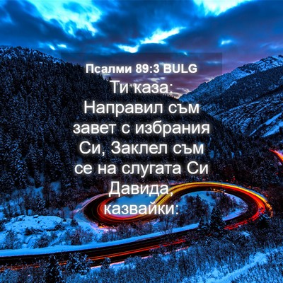 Picture 04 - Псалми 89:3 BULG - Ти каза: Направил съм завет - Bible Verse Picture