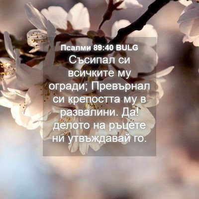 Picture 04 - Псалми 89:40 BULG - Съсипал си всичките му - Bible Verse Picture