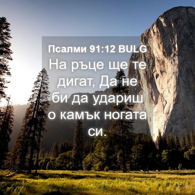 Picture 04 - Псалми 91:12 BULG - На ръце ще те дигат, Да не - Bible Verse Picture