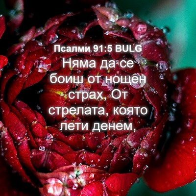 Picture 04 - Псалми 91:5 BULG - Няма да се боиш от нощен - Bible Verse Picture