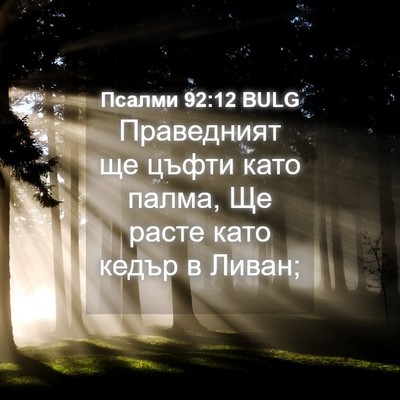 Picture 04 - Псалми 92:12 BULG - Праведният ще цъфти като - Bible Verse Picture
