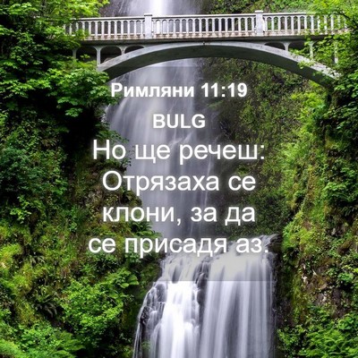 Picture 04 - Римляни 11:19 BULG - Но ще речеш: Отрязаха се - Bible Verse Picture