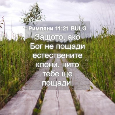 Picture 04 - Римляни 11:21 BULG - Защото, ако Бог не пощади - Bible Verse Picture