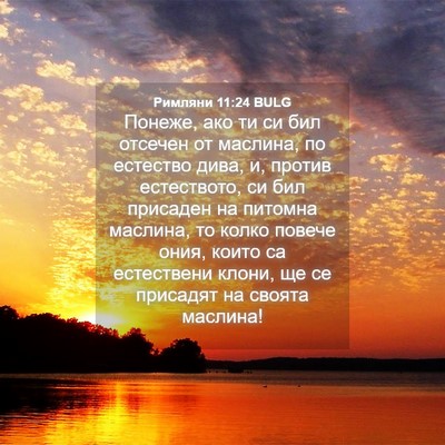 Picture 04 - Римляни 11:24 BULG - Понеже, ако ти си бил - Bible Verse Picture