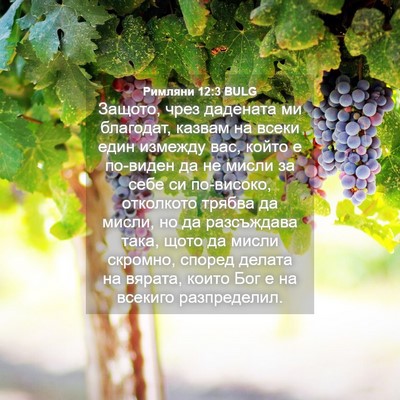 Picture 04 - Римляни 12:3 BULG - Защото, чрез дадената ми - Bible Verse Picture
