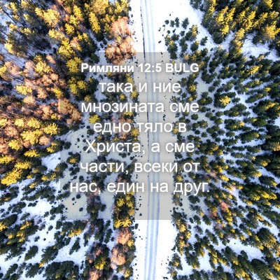 Picture 04 - Римляни 12:5 BULG - така и ние мнозината сме - Bible Verse Picture