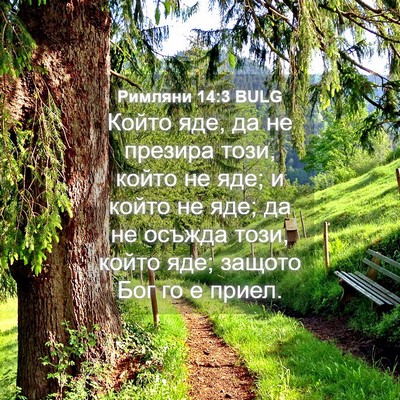 Picture 04 - Римляни 14:3 BULG - Който яде, да не презира - Bible Verse Picture
