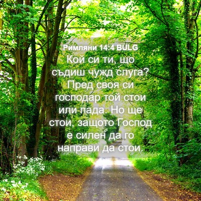 Picture 04 - Римляни 14:4 BULG - Кой си ти, що съдиш чужд - Bible Verse Picture