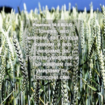 Picture 04 - Римляни 14:8 BULG - Понеже, ако живеем, за - Bible Verse Picture