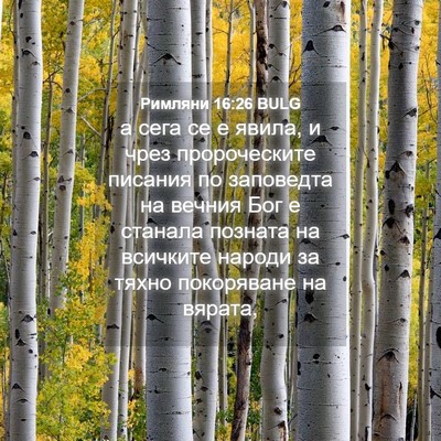 Picture 04 - Римляни 16:26 BULG - а сега се е явила, и чрез - Bible Verse Picture