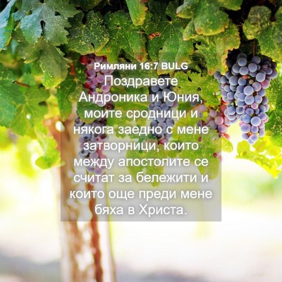 Picture 04 - Римляни 16:7 BULG - Поздравете Андроника и - Bible Verse Picture