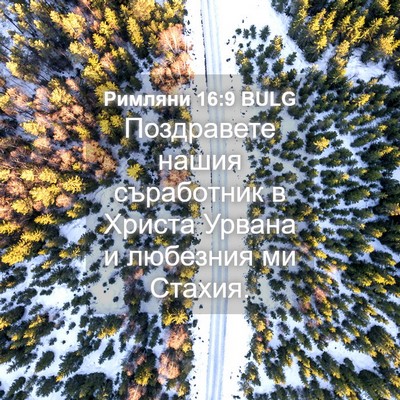 Picture 04 - Римляни 16:9 BULG - Поздравете нашия - Bible Verse Picture