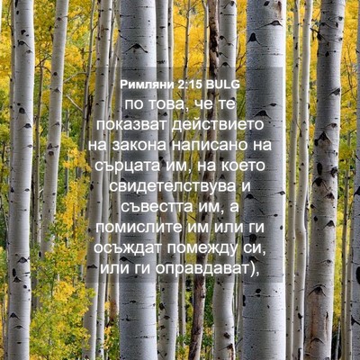 Picture 04 - Римляни 2:15 BULG - по това, че те показват - Bible Verse Picture
