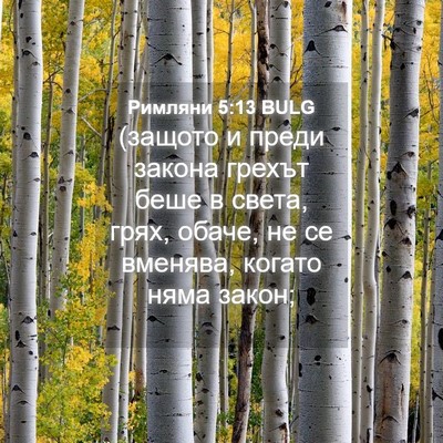 Picture 04 - Римляни 5:13 BULG - (защото и преди закона - Bible Verse Picture