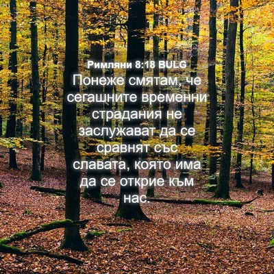 Picture 04 - Римляни 8:18 BULG - Понеже смятам, че - Bible Verse Picture