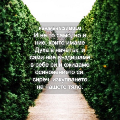 Picture 04 - Римляни 8:23 BULG - И не то само, но и ние, които - Bible Verse Picture