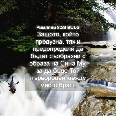 Picture 04 - Римляни 8:29 BULG - Защото, който предузна, тях - Bible Verse Picture