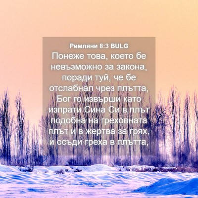 Picture 04 - Римляни 8:3 BULG - Понеже това, което бе - Bible Verse Picture