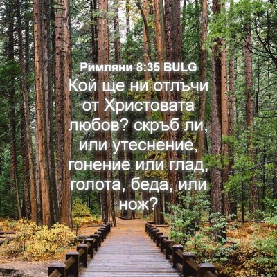 Picture 04 - Римляни 8:35 BULG - Кой ще ни отлъчи от - Bible Verse Picture