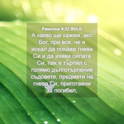 Picture 04 - Римляни 9:22 BULG - А какво ще кажем, ако Бог, - Bible Verse Picture