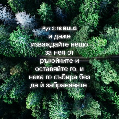 Picture 04 - Рут 2:16 BULG - и даже изваждайте нещо за - Bible Verse Picture