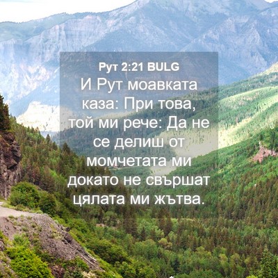 Picture 04 - Рут 2:21 BULG - И Рут моавката каза: При - Bible Verse Picture