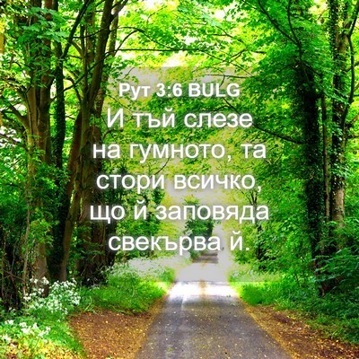 Picture 04 - Рут 3:6 BULG - И тъй слезе на гумното, та - Bible Verse Picture